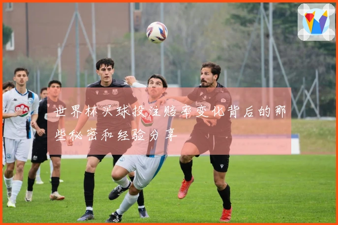 世界杯买球投注赔率变化背后的那些秘密和经验分享