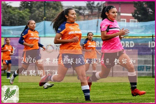 2026世界杯让球投注技巧，教你如何聪明下注