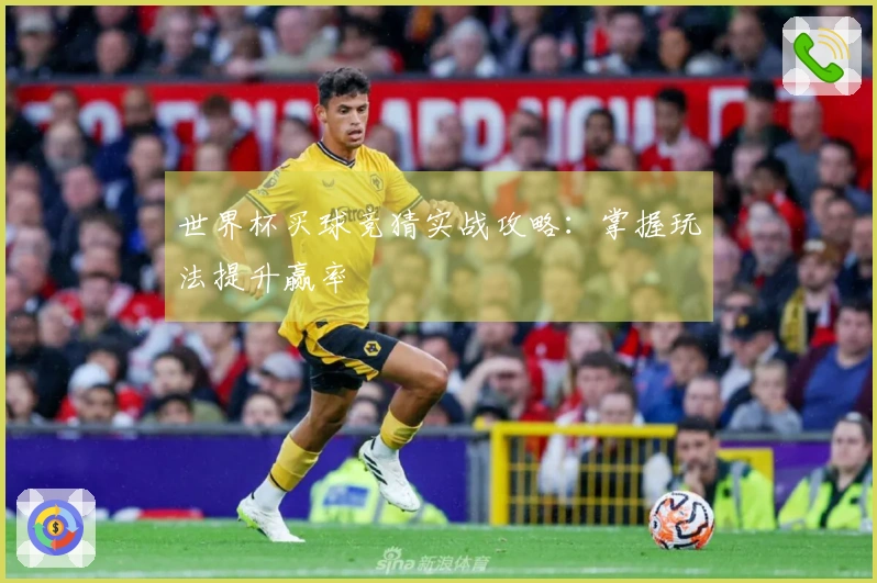 世界杯买球竞猜实战攻略：掌握玩法提升赢率