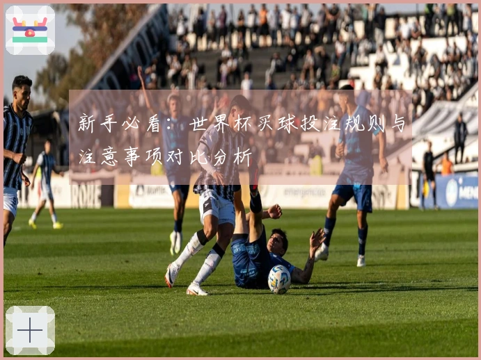 新手必看：世界杯买球投注规则与注意事项对比分析