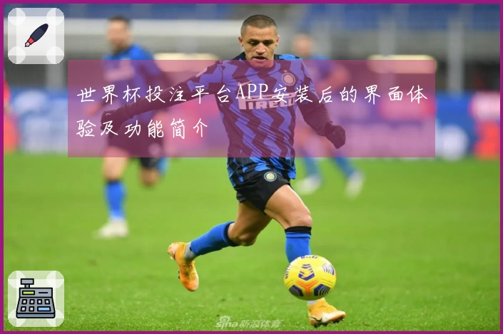 世界杯投注平台APP安装后的界面体验及功能简介