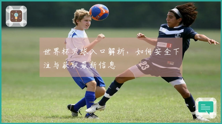 世界杯买球入口解析,如何安全下注与获取最新信息