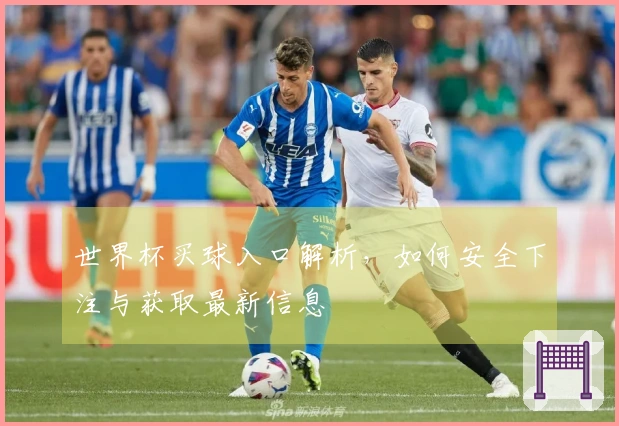 世界杯买球入口解析，如何安全下注与获取最新信息