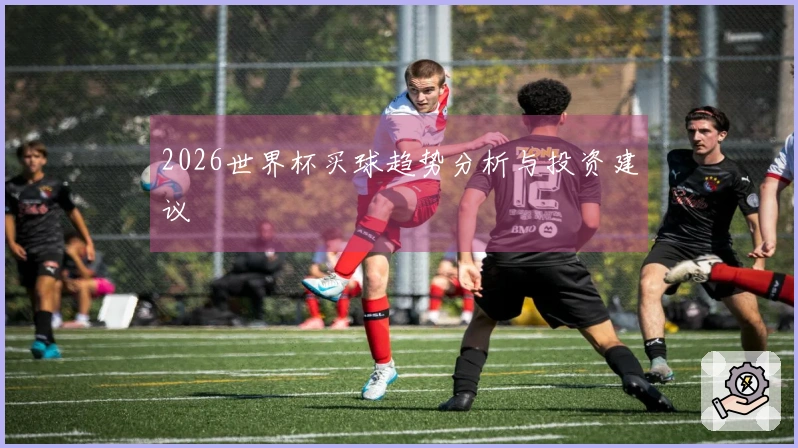 2026世界杯买球趋势分析与投资建议