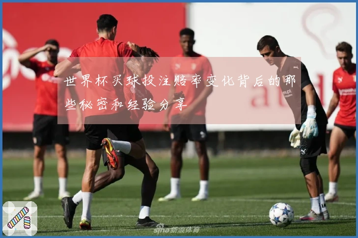 世界杯买球投注赔率变化背后的那些秘密和经验分享