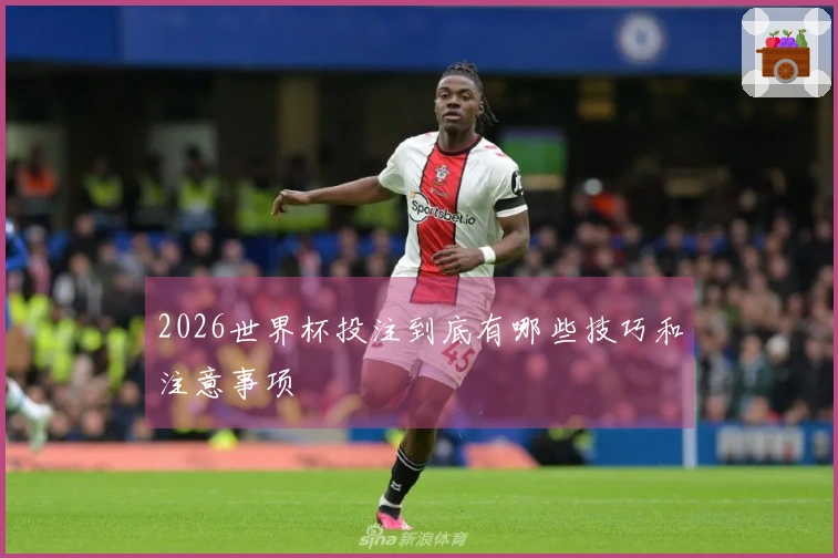 2026世界杯投注到底有哪些技巧和注意事项