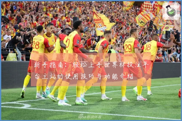 新手指南：轻松上手世界杯投注平台主站的使用技巧与功能介绍