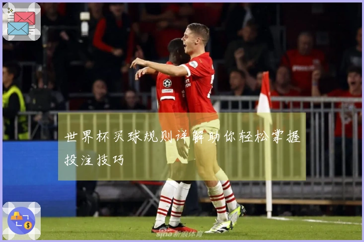 世界杯买球规则详解助你轻松掌握投注技巧
