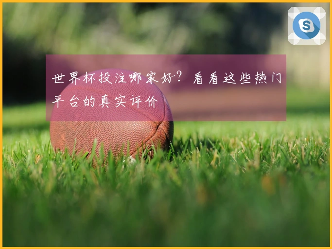 世界杯投注哪家好？看看这些热门平台的真实评价