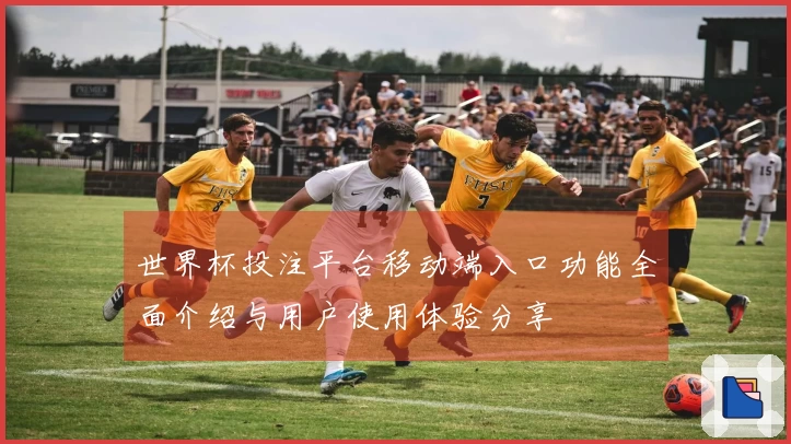 世界杯投注平台移动端入口功能全面介绍与用户使用体验分享