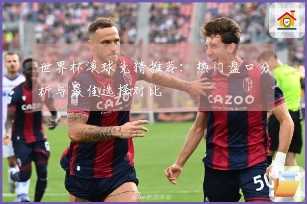 世界杯滚球竞猜推荐：热门盘口分析与最佳选择对比