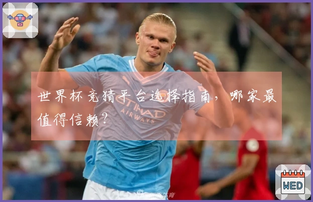 世界杯竞猜平台选择指南，哪家最值得信赖？