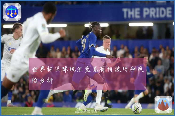 世界杯买球玩法究竟有何技巧和风险分析