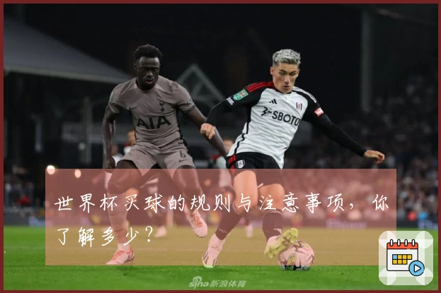 世界杯买球的规则与注意事项，你了解多少？