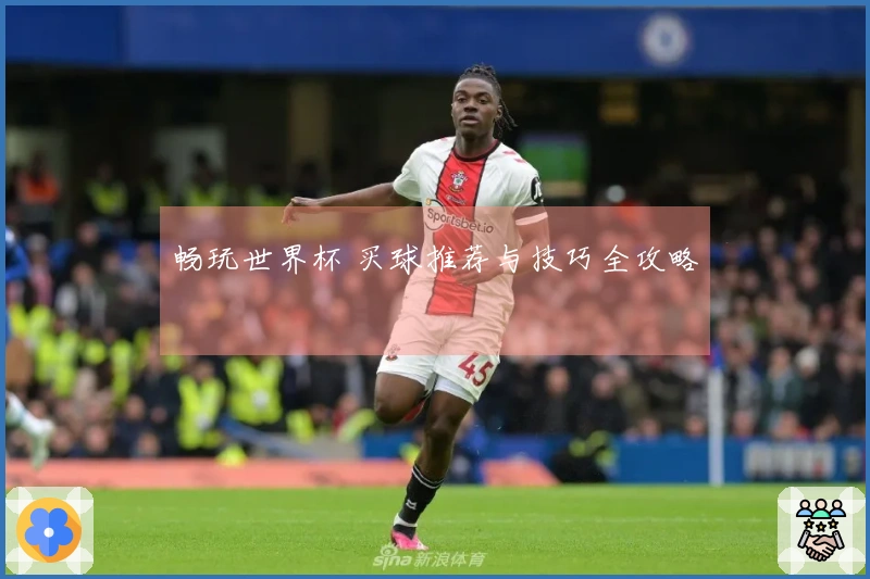 畅玩世界杯 买球推荐与技巧全攻略